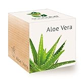 Feel Green Ecocube Aloe Vera, Idea Regalo sostenibile (100% Eco Friendly), Grow Your Own/Set di Coltivazione, Piante nel Dado in Legno, Made in Austria